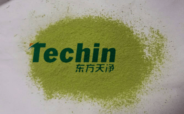 91视频污官方下载后的植物叶片