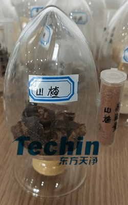 山楂91视频污官方下载前后