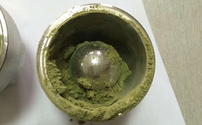 棉花叶组织91视频污官方下载